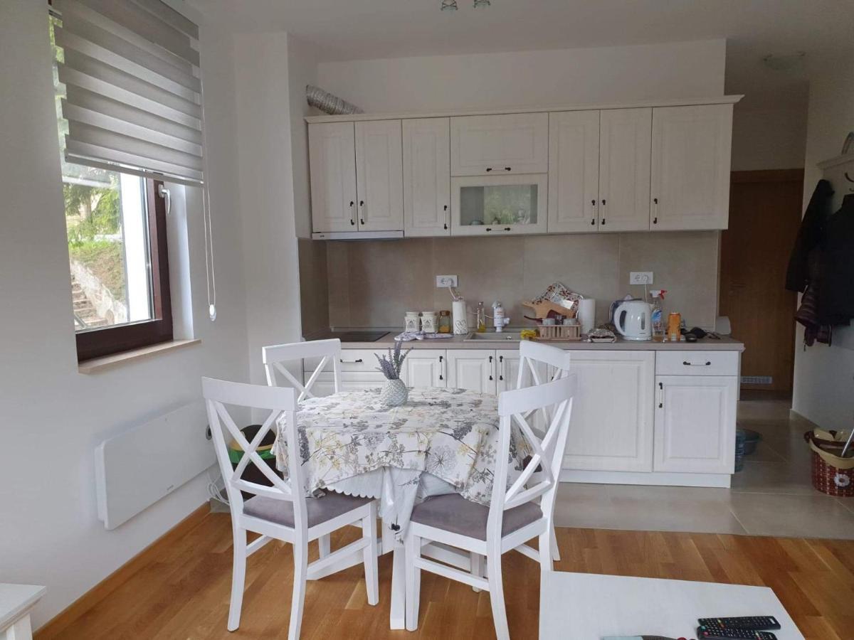 Vila Irina - Apartman Milos 카파오닉 외부 사진